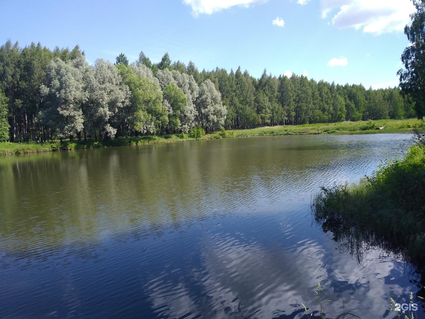 Дендропарк кострома фото