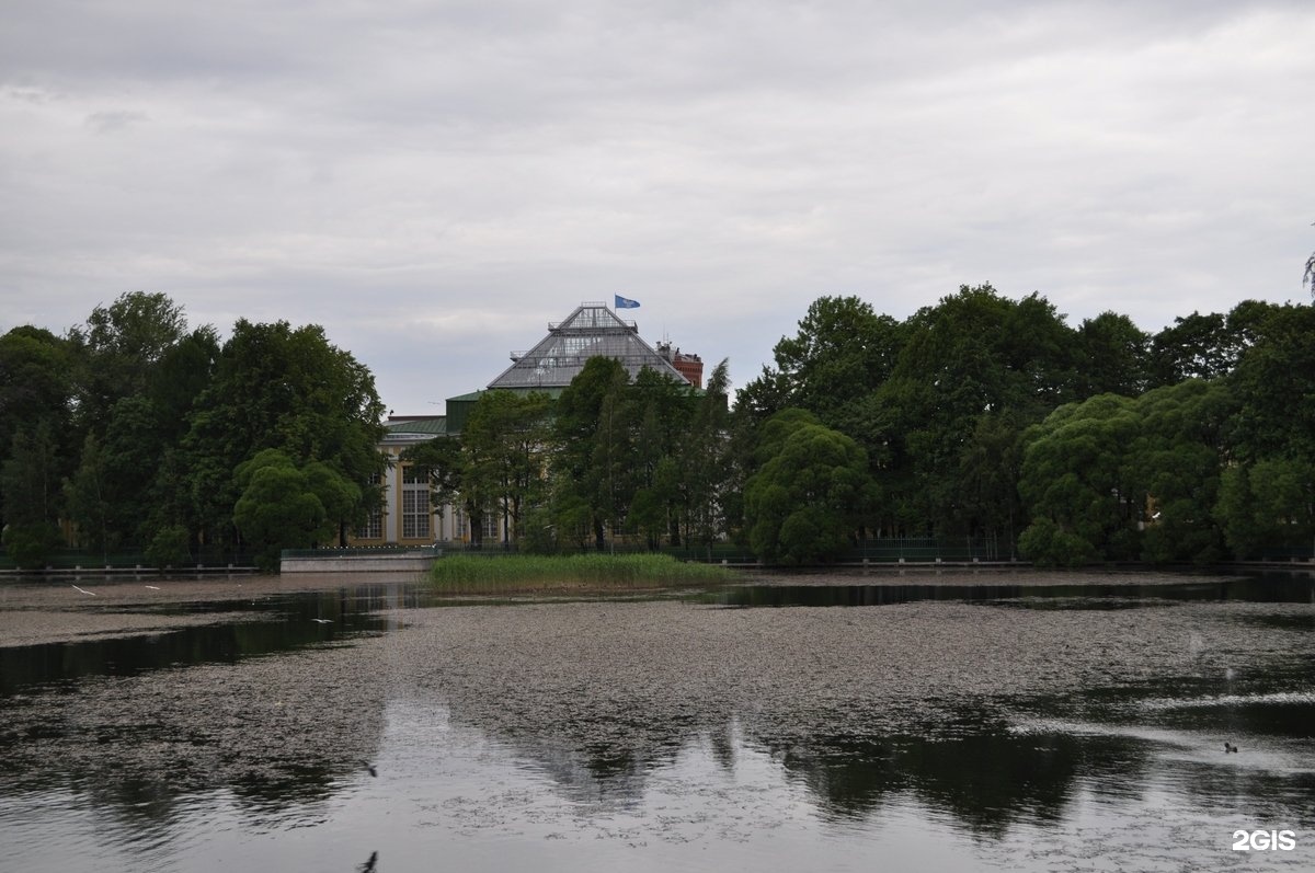 Водоемы санкт петербурга