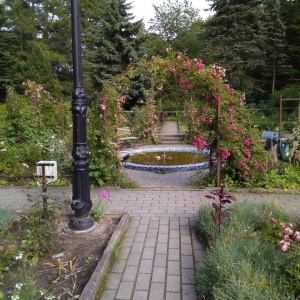 Фото от владельца Ботанический сад, БФУ