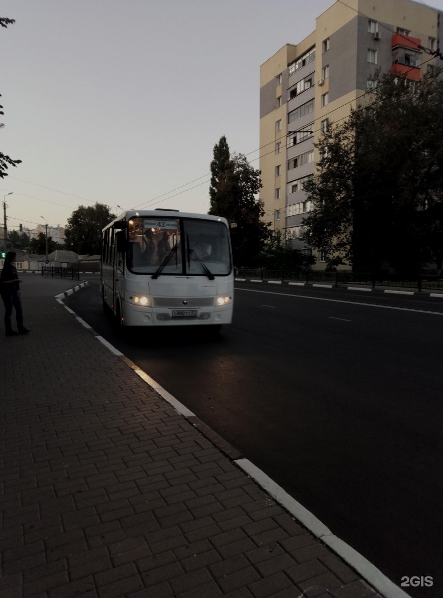 43 белгород. 43 Маршрут Белгород. 43 Автобус Белгород. Городской автобус Белгород. Маршрут 43 автобуса Белгород.