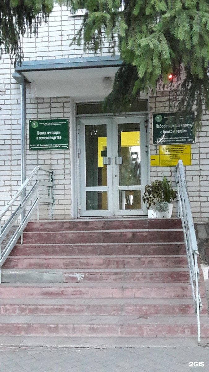 Сад Коллекционных Растений Белгород Интернет Магазин Купить