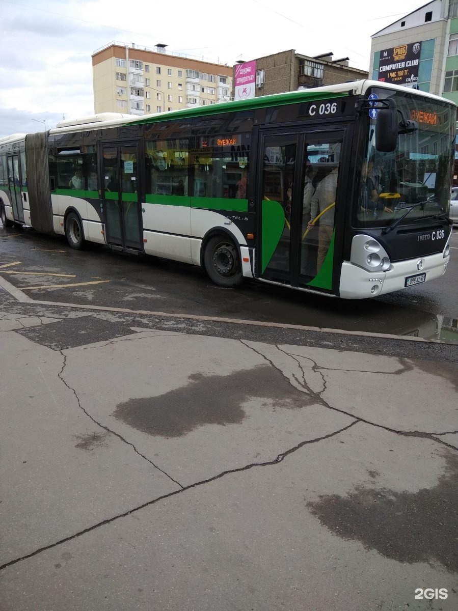12 автобус. Автобус 12. 12 Автобус Красноярск. Автобус 12 12. Автобус 12.15.4.