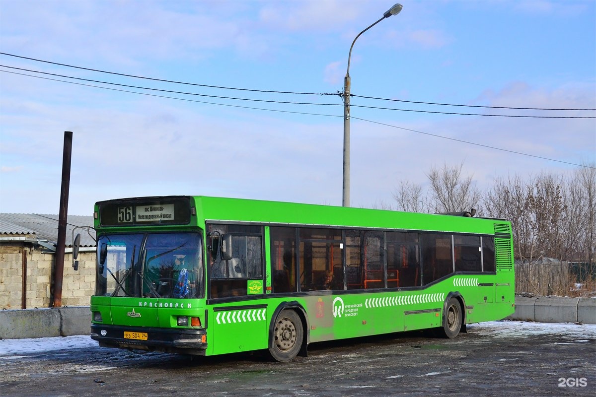 56 автобус красноярск. МАЗ 103 fotobus. Автобус МАЗ 103 Красноярск. Автобус 2 Красноярск МАЗ. Автобус 3 Красноярск.