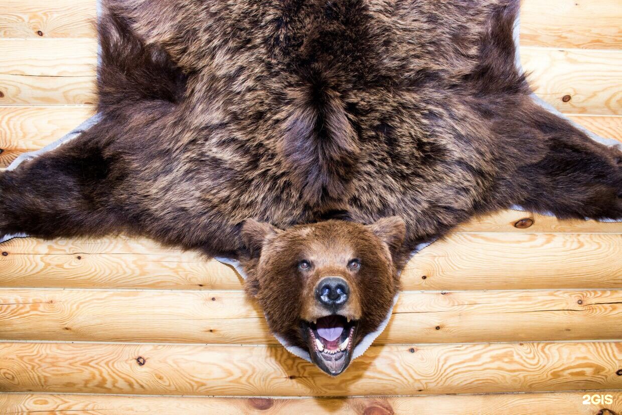 Медведь