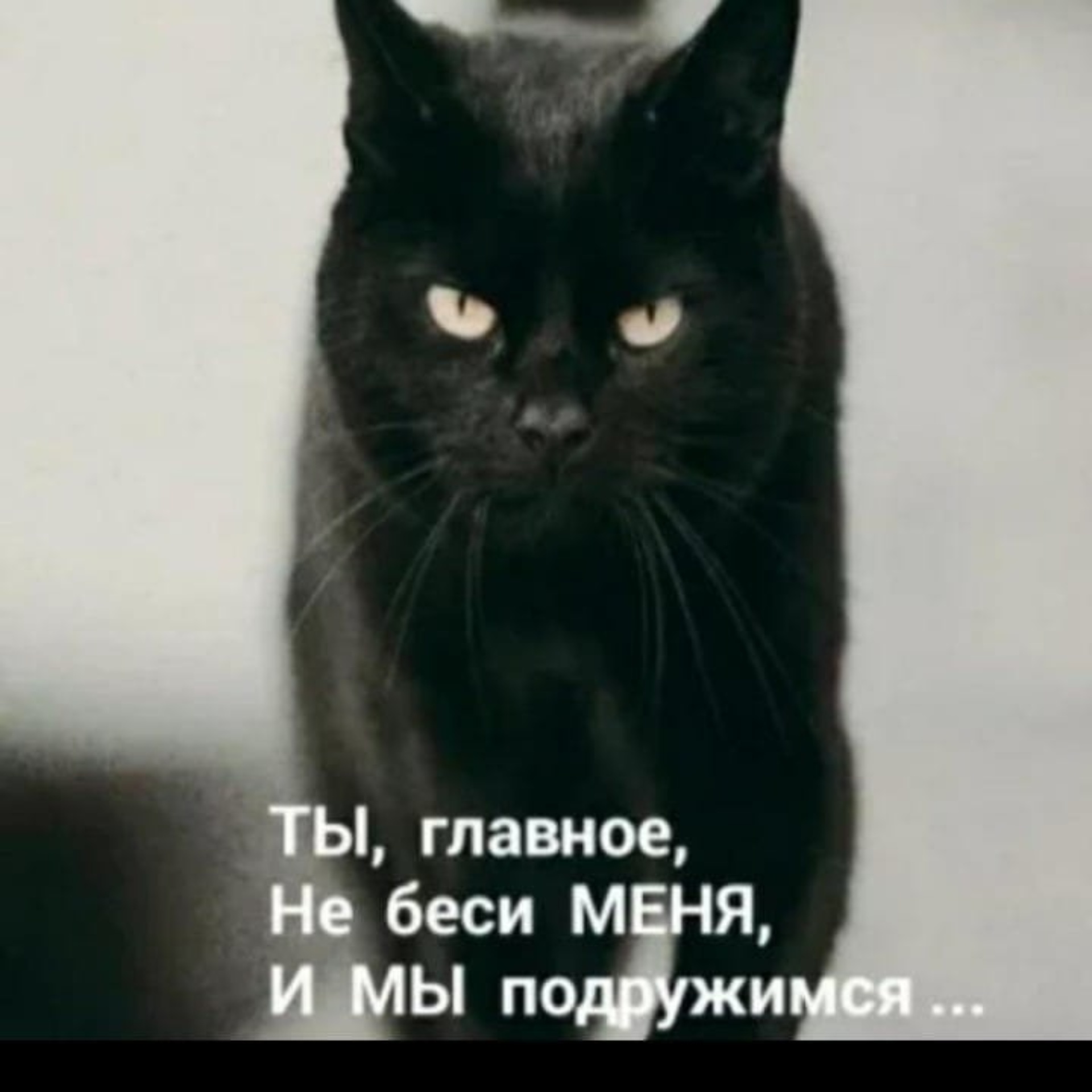 Надпись бесишь. Бесит прикол. Ты не беси ее. Ты не беси ее. Фото не беси меня.