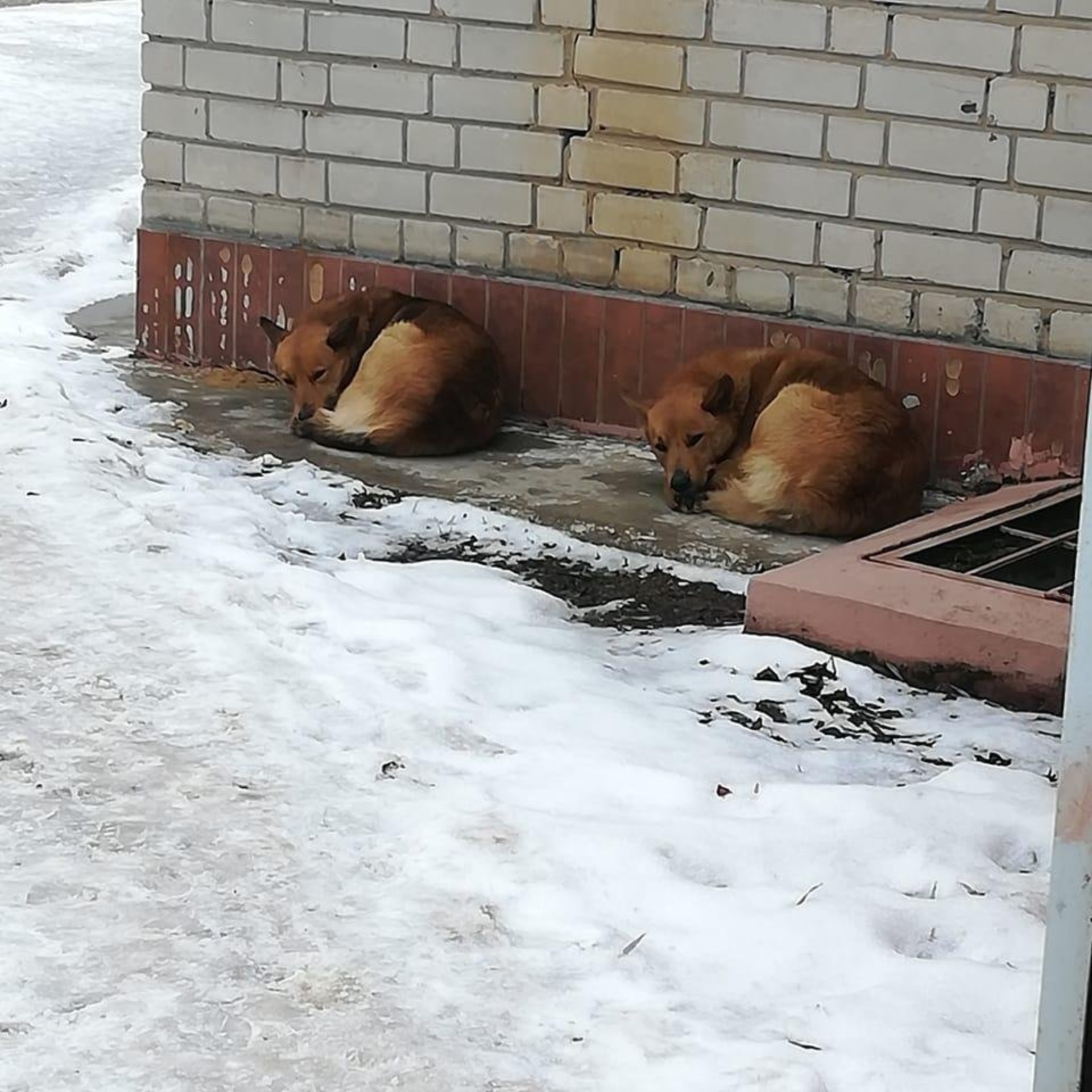 Шашлычная от Ромео, с. Новая Усмань, с. Новая Усмань — 2ГИС