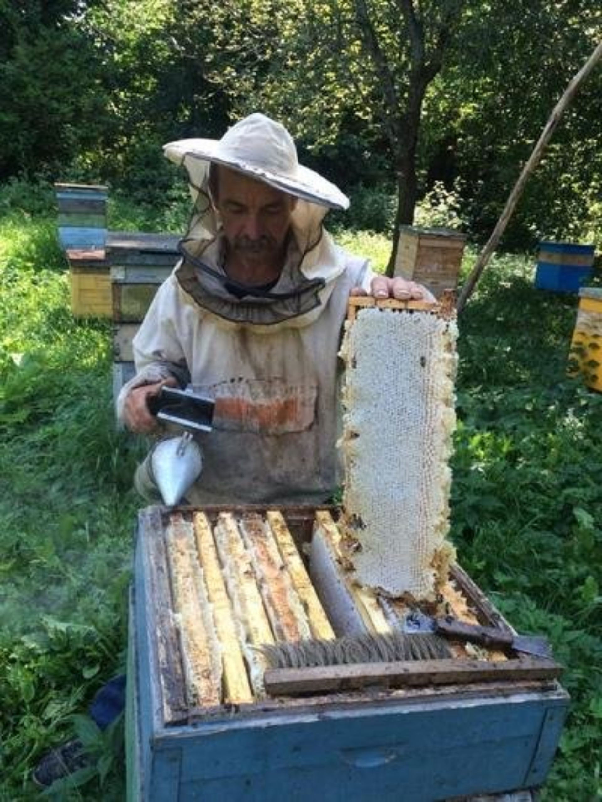 Честная пасека, интернет-магазин меда и подарков, улица Лермонтова, 9,  Рязань — 2ГИС