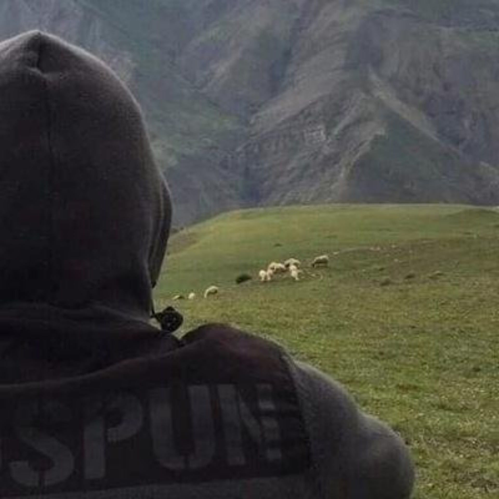 Ол оның купальнигі астына қолын қойды және оның кискасы дірілдеп жатты.