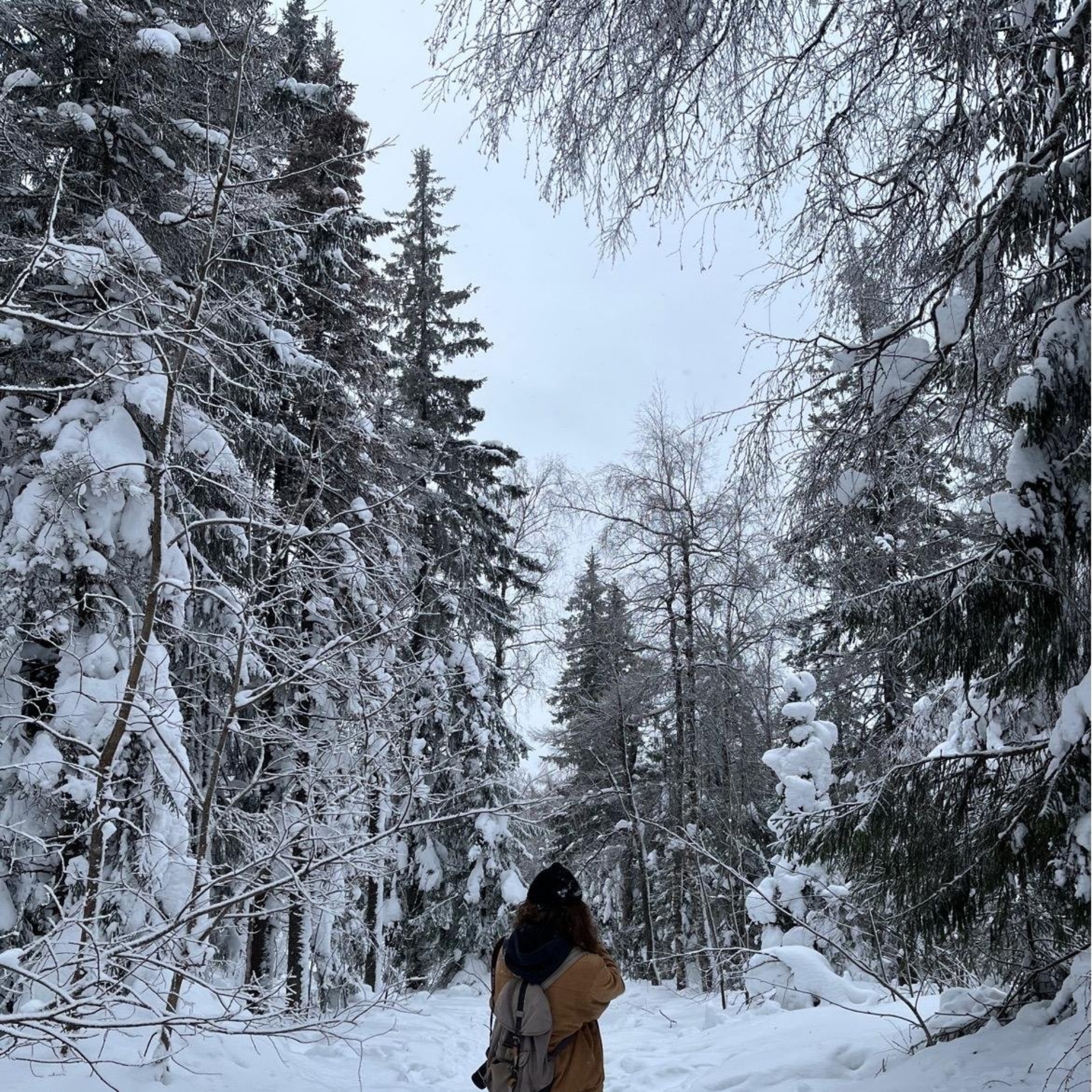 Центр для животных, Московская, 40, Миасс — 2ГИС