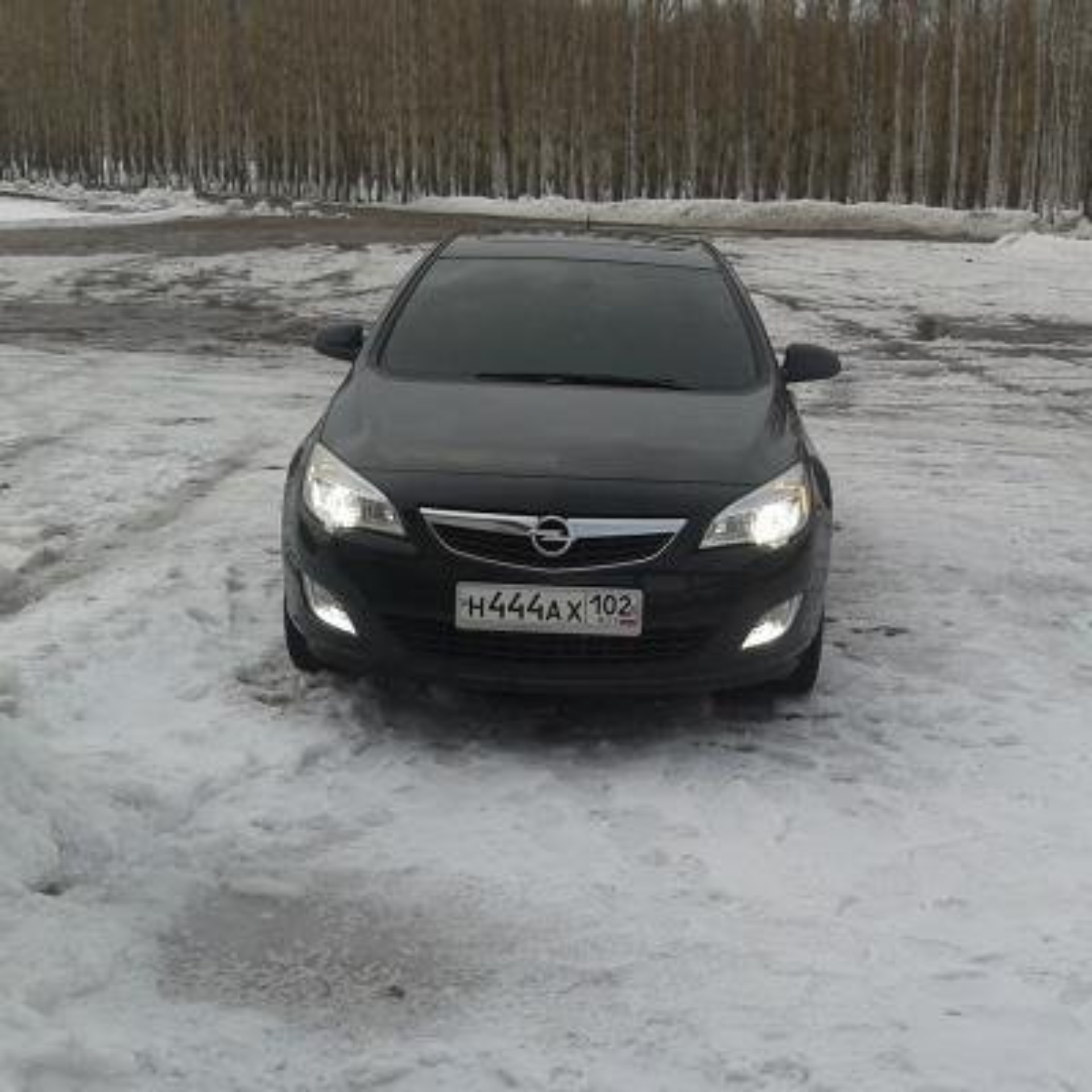 AVS AUTO, автосалон, Раевский тракт, 1м, Стерлитамак — 2ГИС