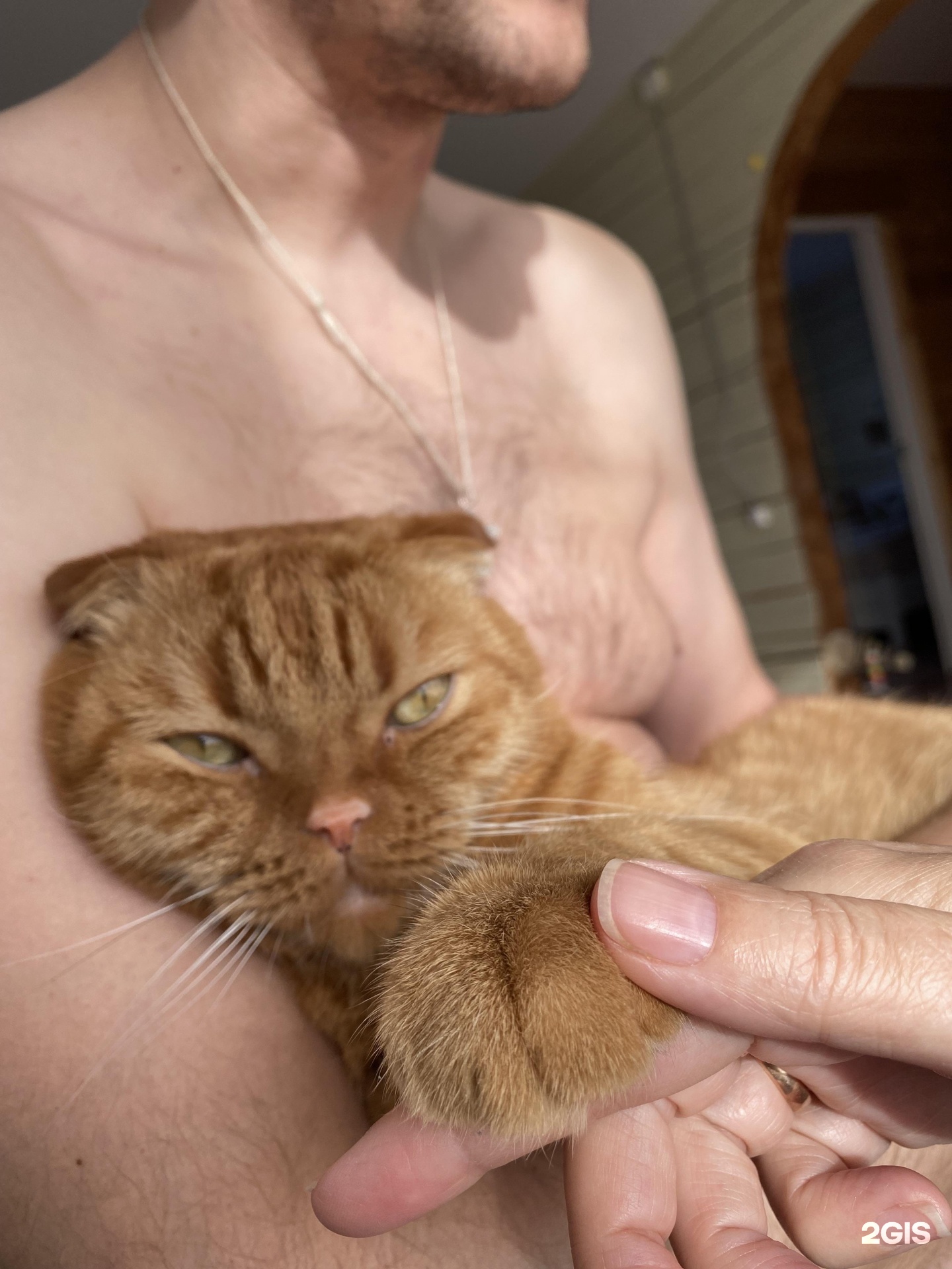 Аватар Эдуард Андреев