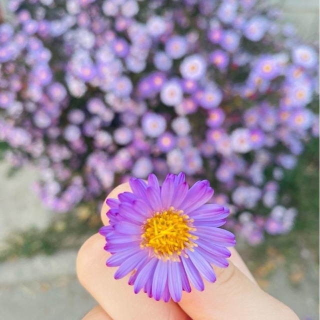 Ресейлік отандық жезөкшелердің суреттері Күйеуі әйелін порно арқылы аяусыз жазалайды