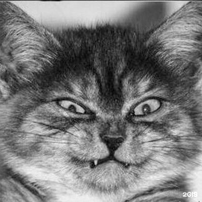 Автор отзыва Екатерина Теплякова