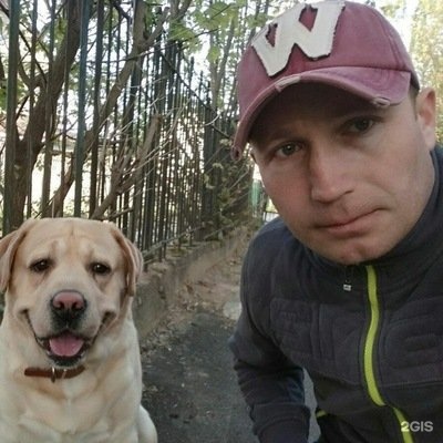 Гулливер Магазин Радиодеталей Смоленск Гулливер Магазин Радиодеталей Смоленск