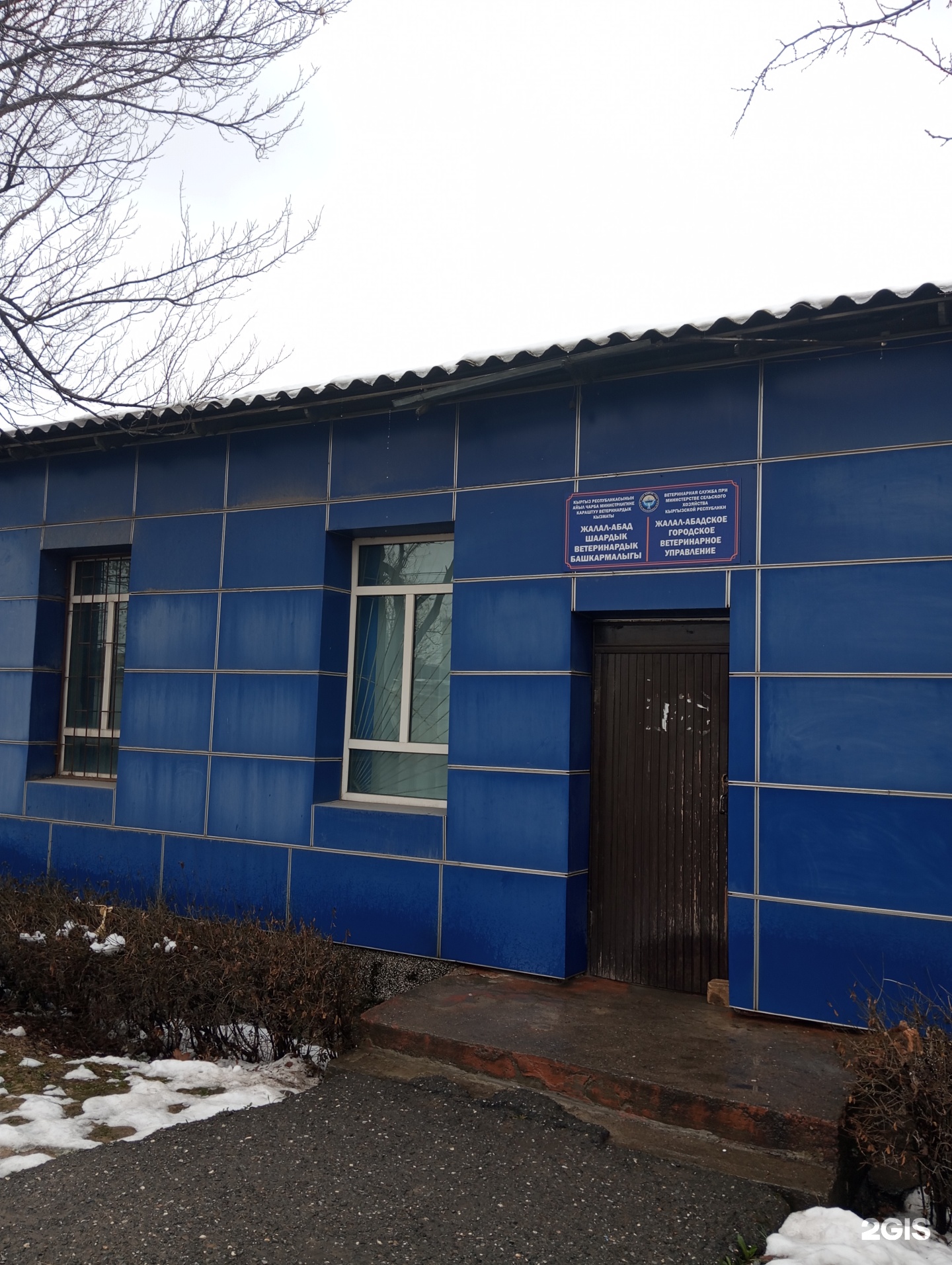 Жыныстық Орда