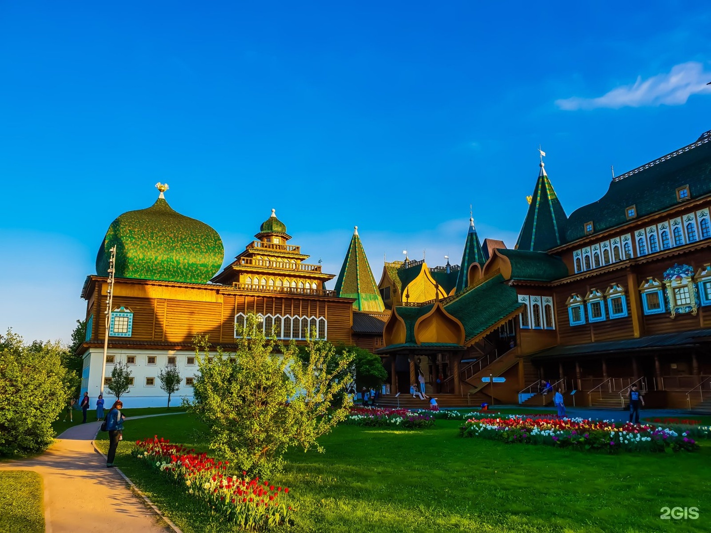 Изображение организации