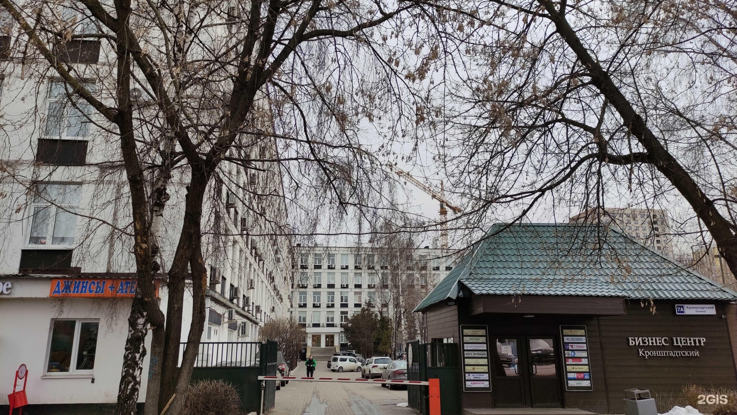 Изображение организации