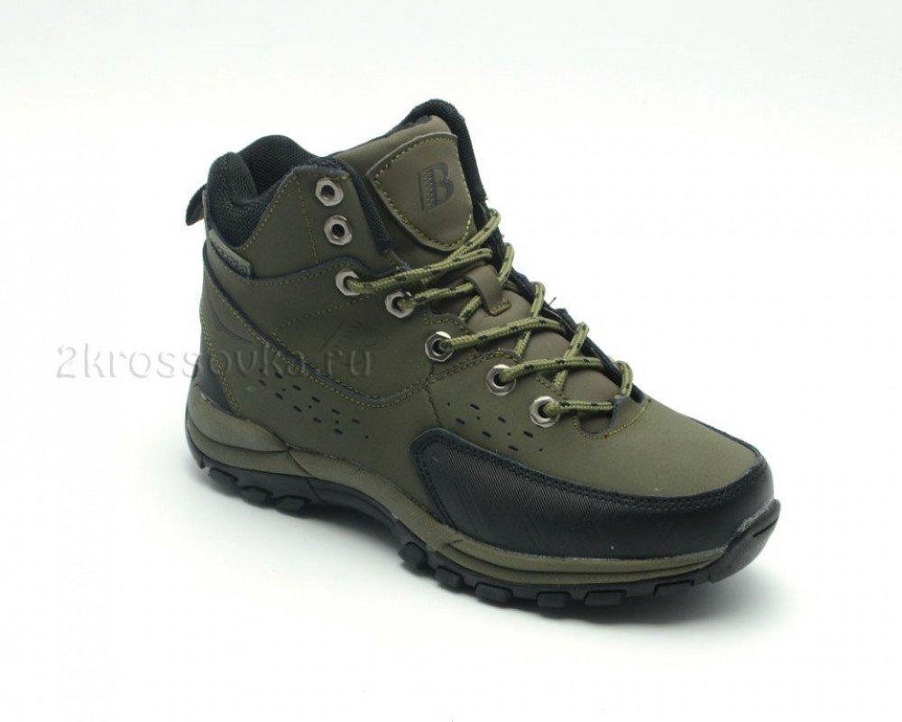 Изображение организации