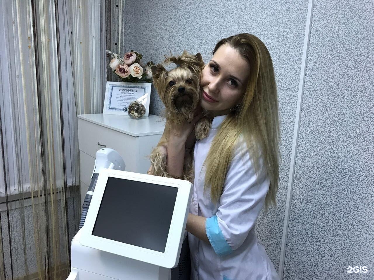 Изображение организации