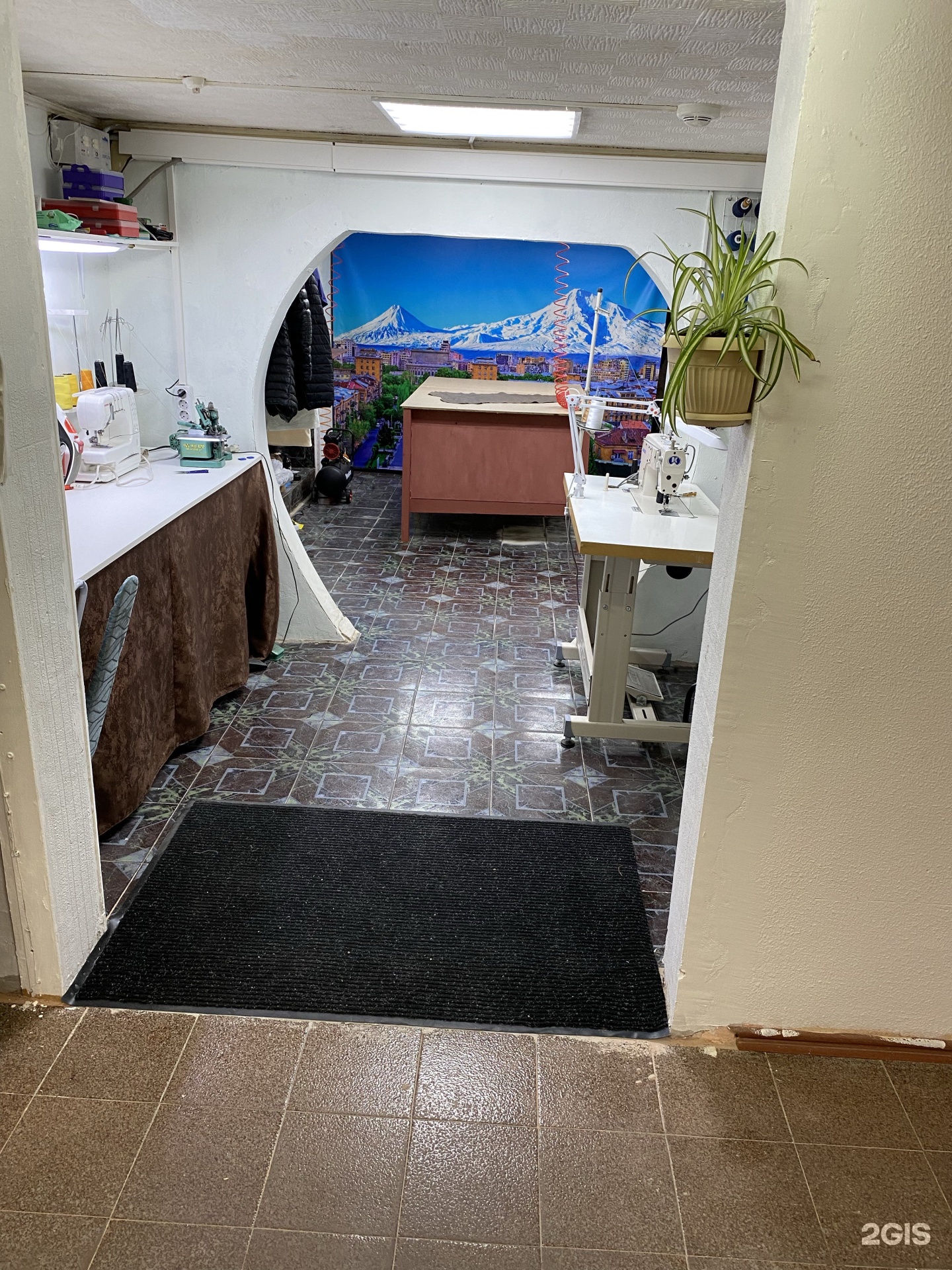 Изображение организации