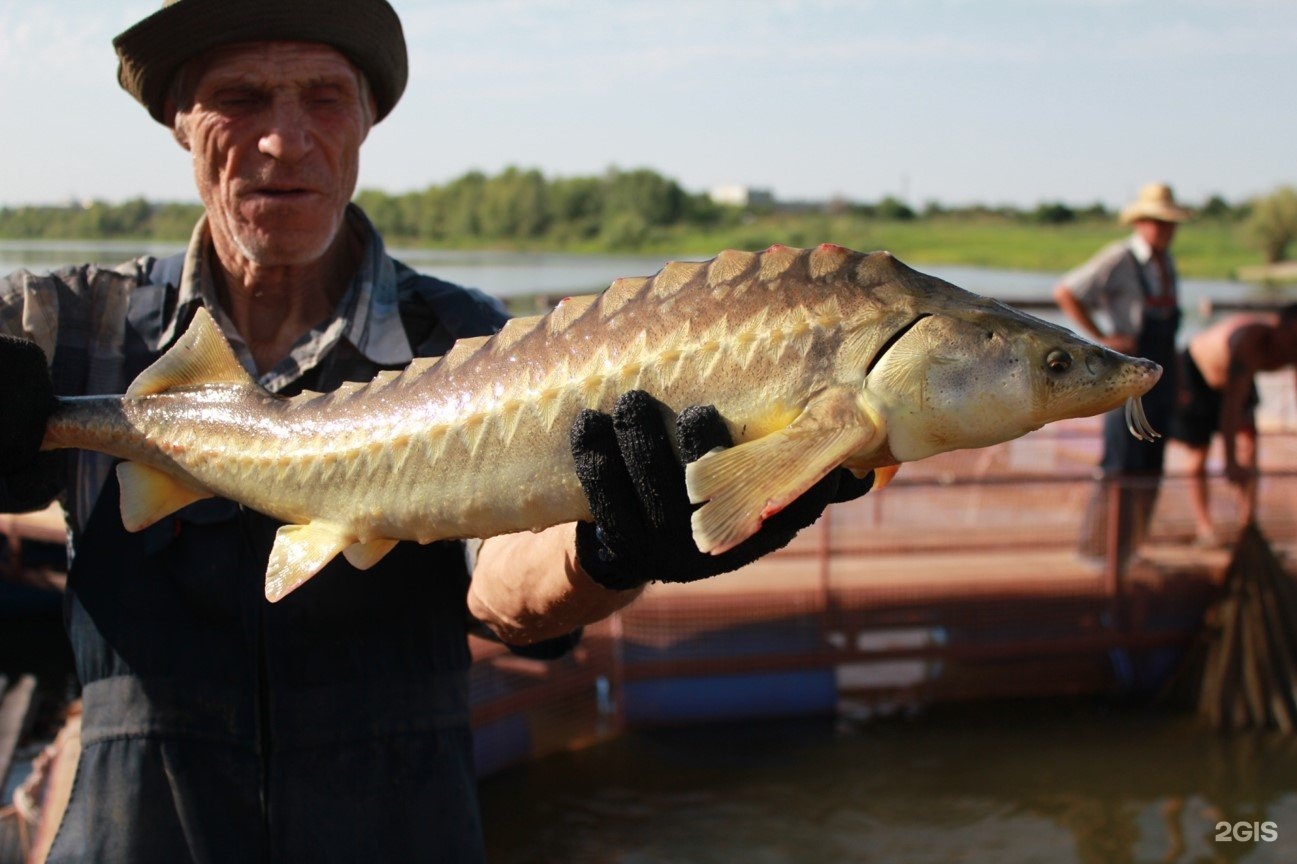 Изображение организации