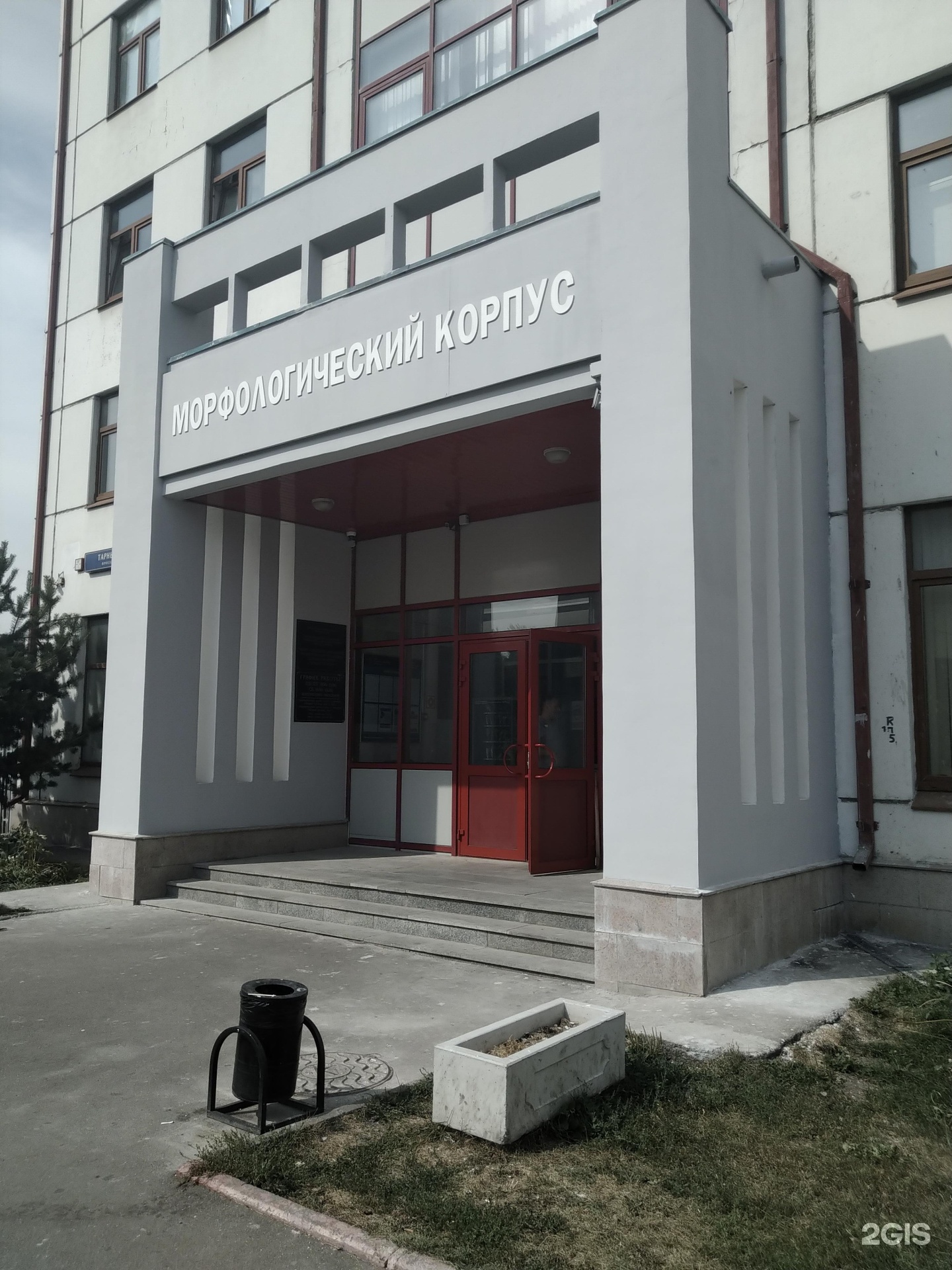 Изображение организации