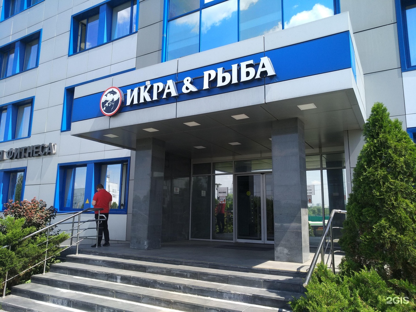 Изображение организации