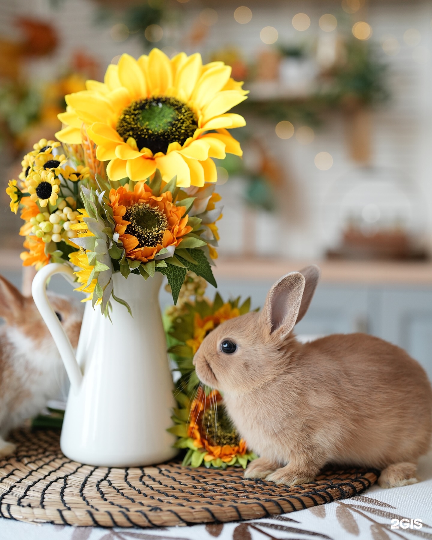 Изображение организации