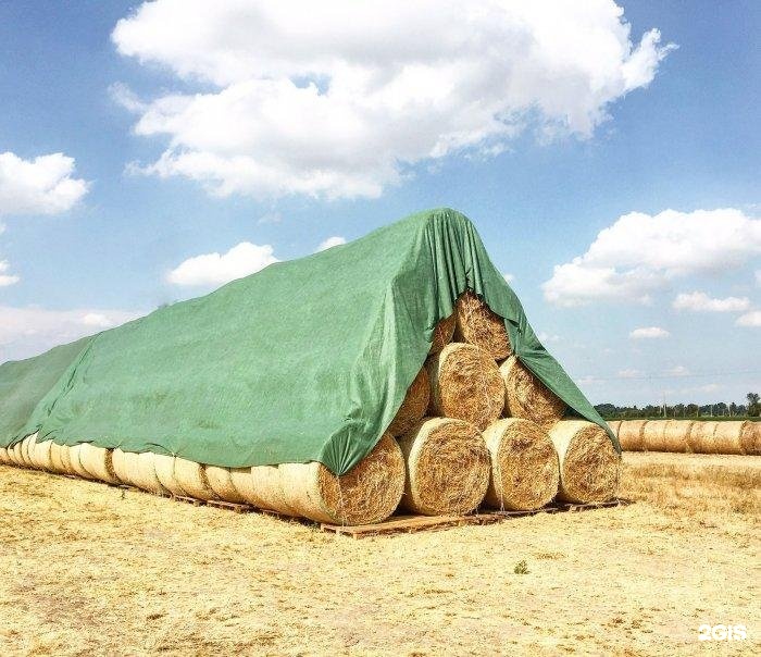 Изображение организации