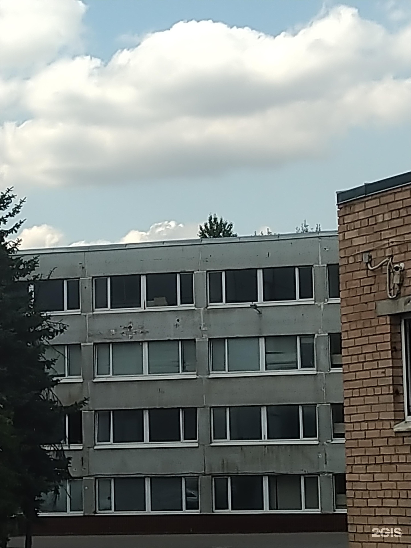 Изображение организации