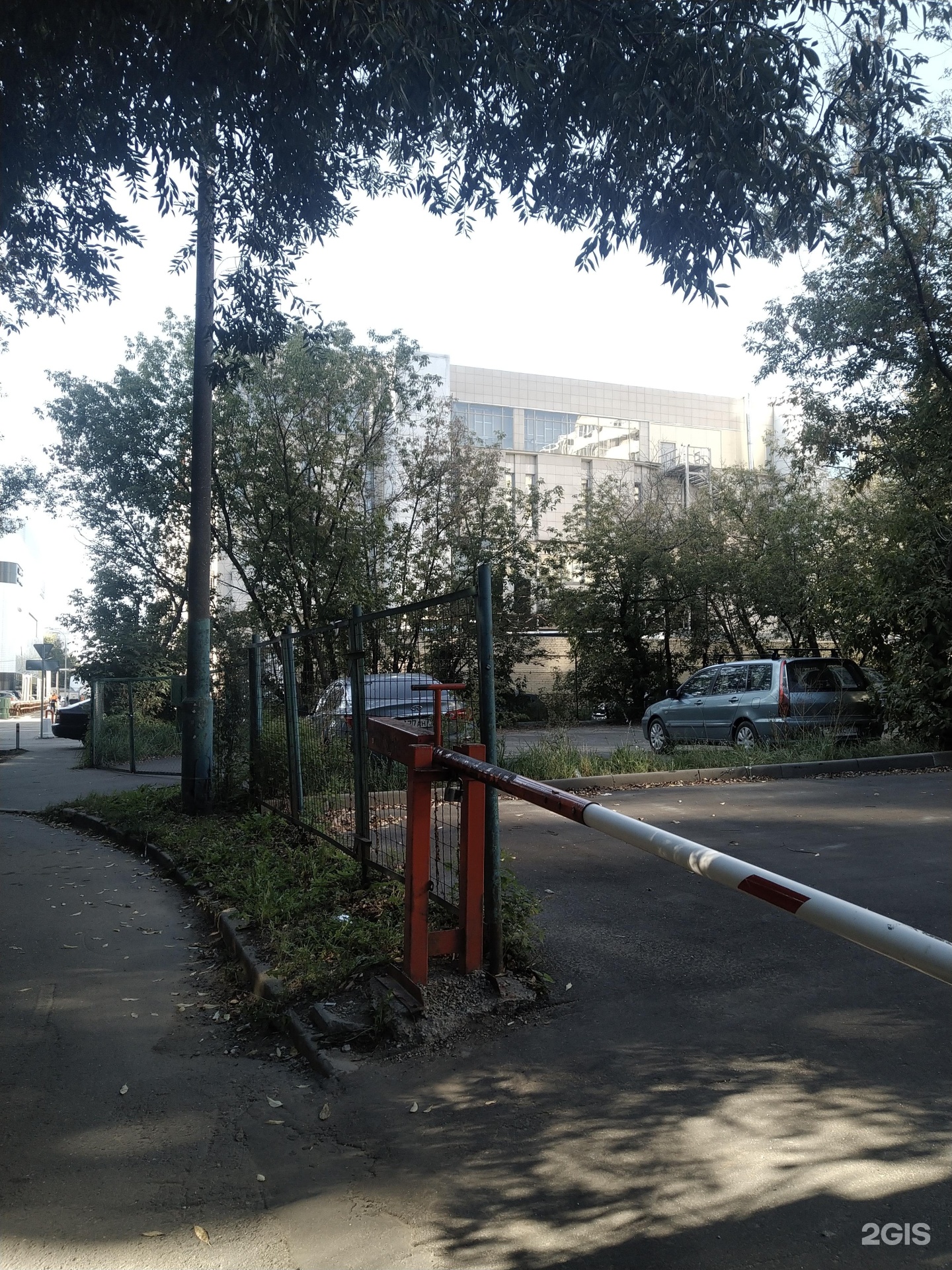 Изображение организации