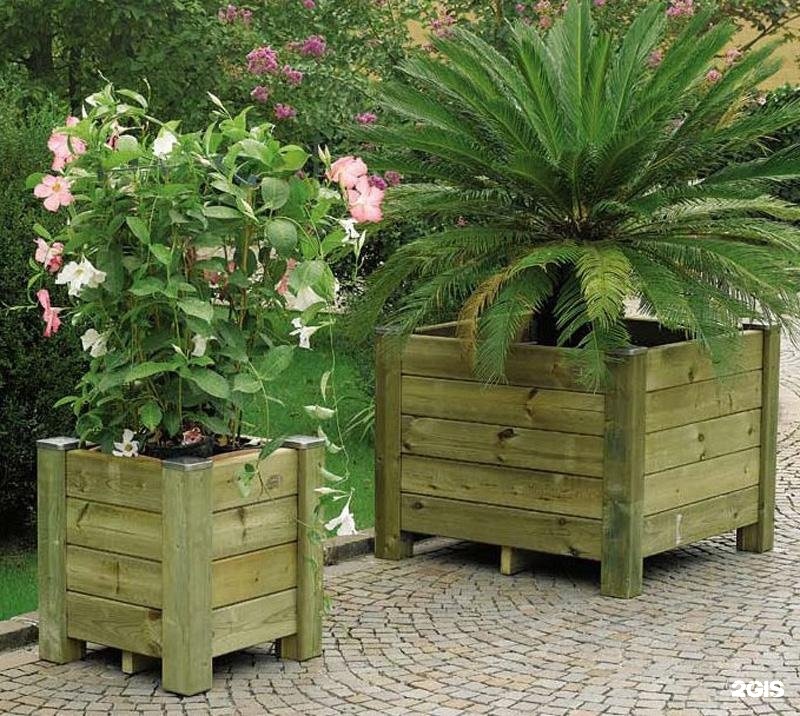 Изображение организации