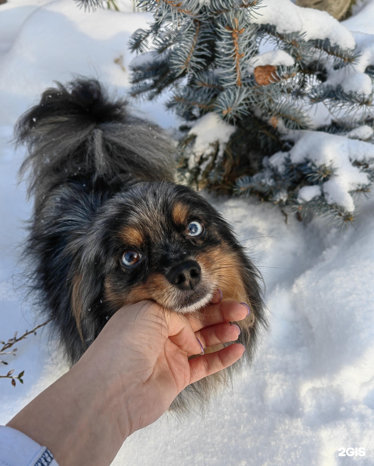 Изображение организации