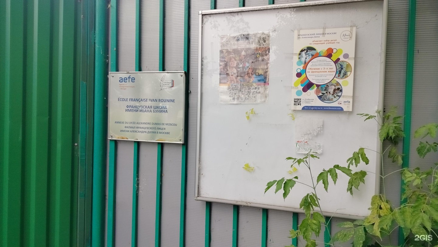 Изображение организации