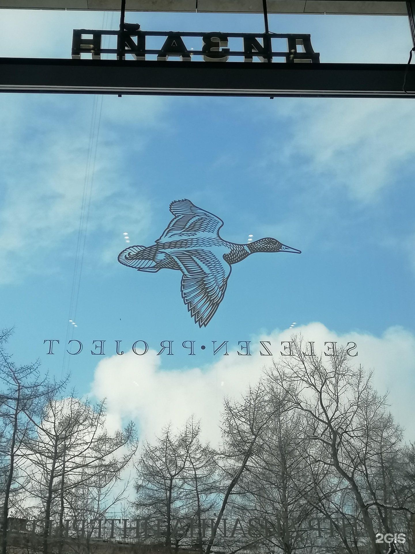 Изображение организации