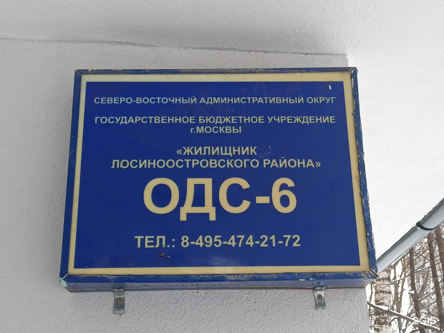 Изображение организации