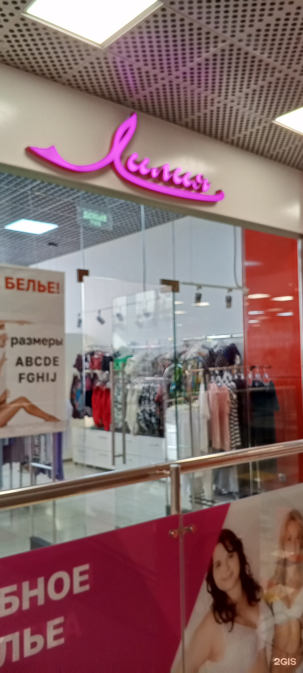 Изображение организации