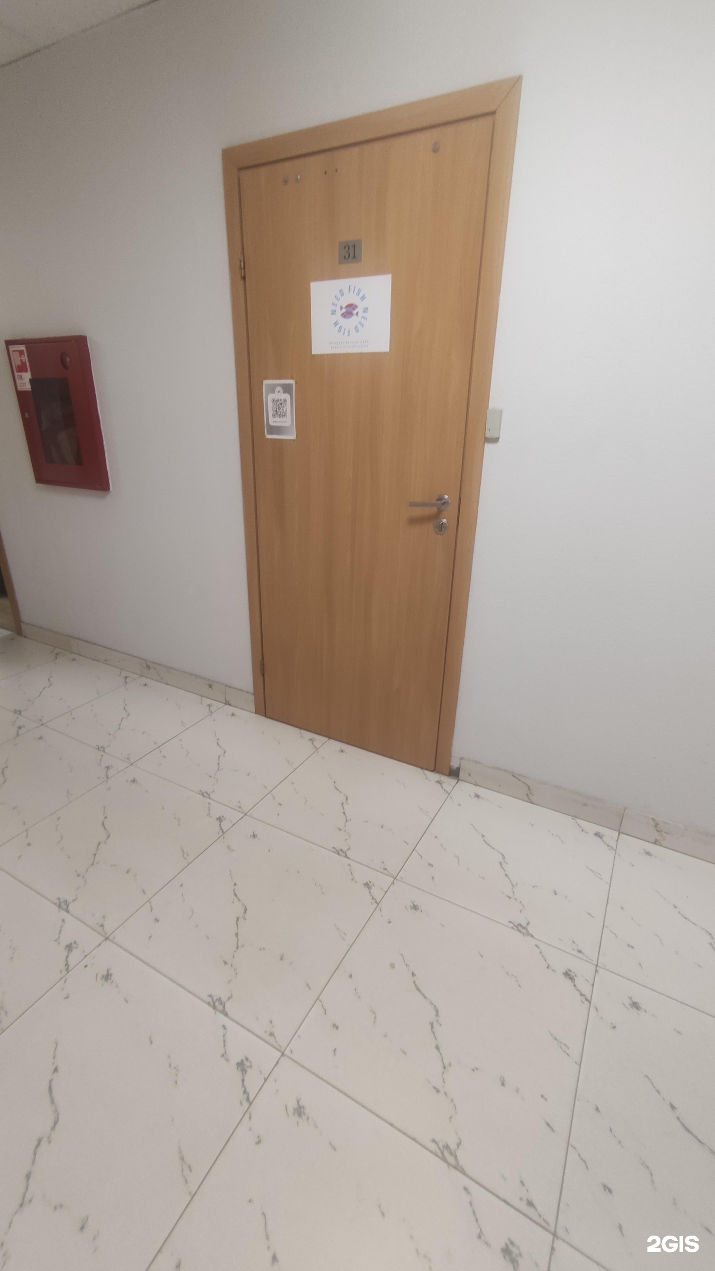 Изображение организации