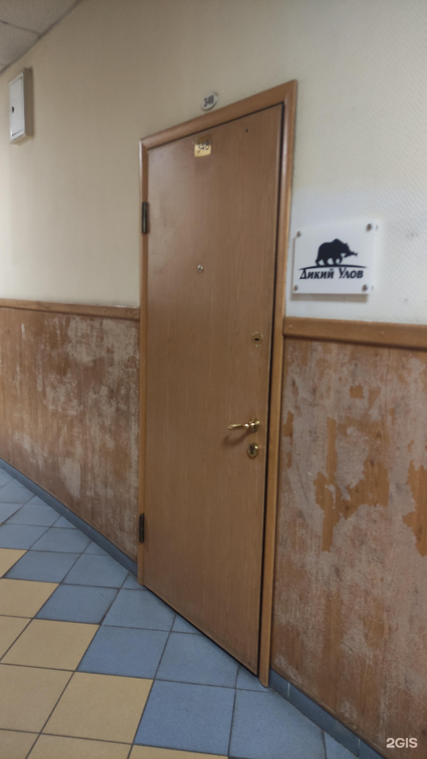 Изображение организации