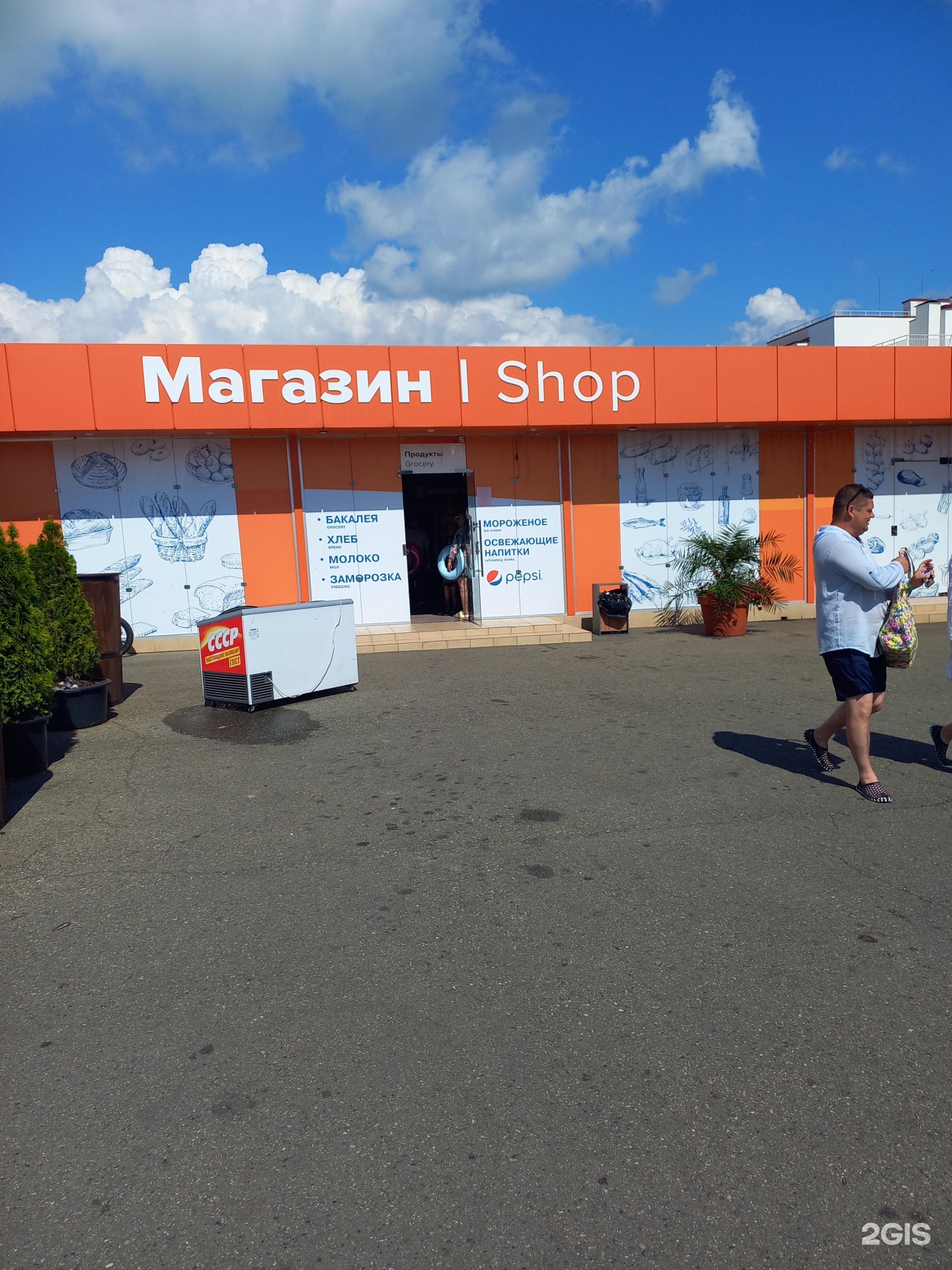 Рогоноз видеоны сорады