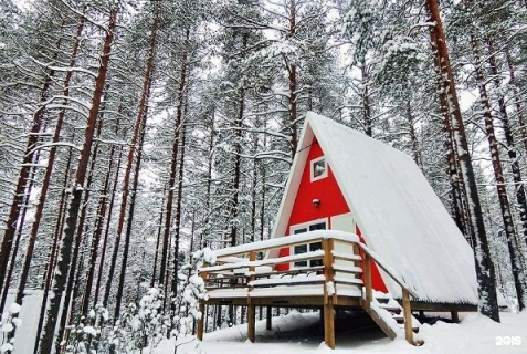 Горки: Отель Greenvald парк Скандинавия