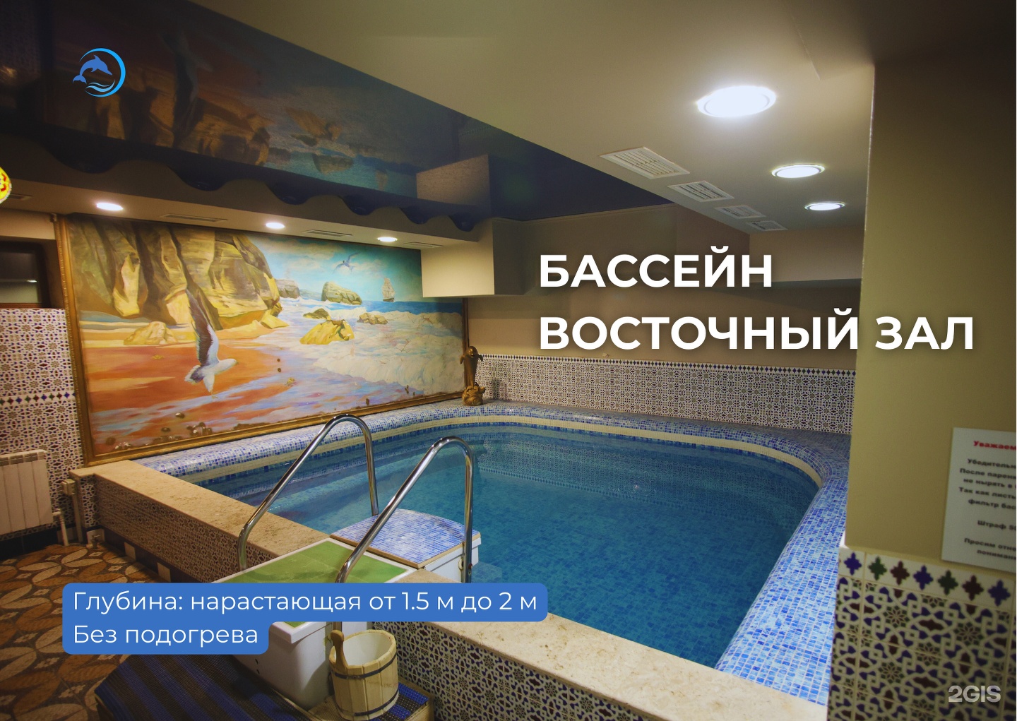 Дельфин