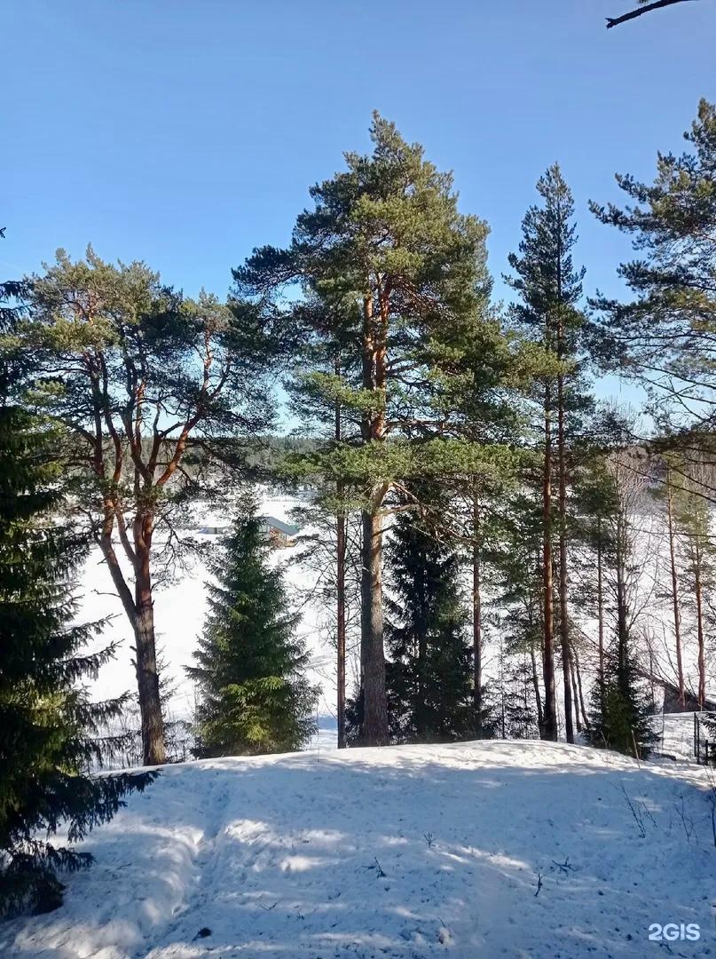 Гостевой дом Гостевой дом в Лахденпохья