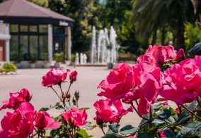 Санаторий Зелёная роща в Сочи