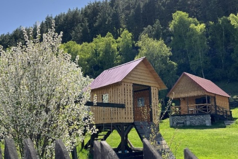 Аюла: Коттедж Пригорье Аюла