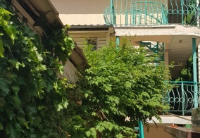 Гостевой дом Надежда в Геленджике
