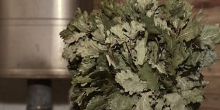 Самара: Турбаза 12 месяцев везения