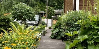 Листвянка: Гостевой дом Комфорт хаус Листвянка Байкал