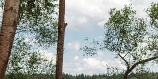 Солнечногорск городской округ: Глэмпинг Берег желаний