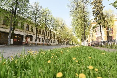 Ярославль: Отель Scandi House